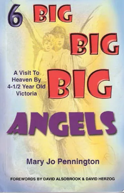 6 Big Big Big Angels — Big Angels and Flaming Wild Horses — cover