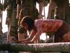 The Passion of the Christ – On Ground 2