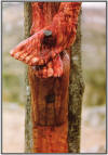 The Passion of the Christ – Passion Movie Feet