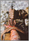 The Passion of the Christ – Passion Movie Nail Hand