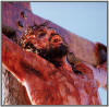 The Passion of the Christ – Passion Movie On Cross 2