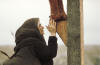 The Passion of the Christ – Passion Of The Christ 39