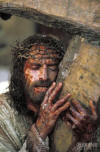 The Passion of the Christ – Passion Of The Christ 8